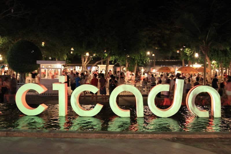cicada market, huahin