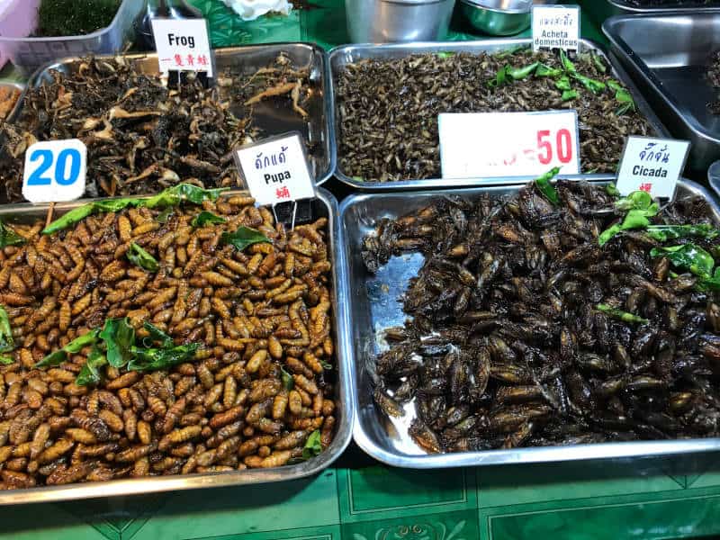 Tayland'da böcek yenir mi, Tayland böcek yemekleri, tayland sokak yemekleri