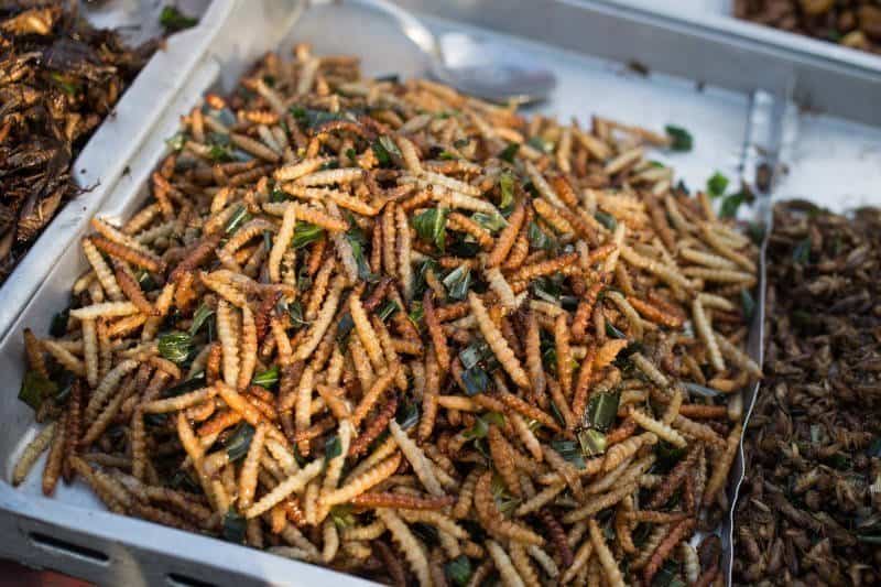 Tayland'da böcek yenir mi, Tayland böcek yemekleri, tayland sokak yemekleri