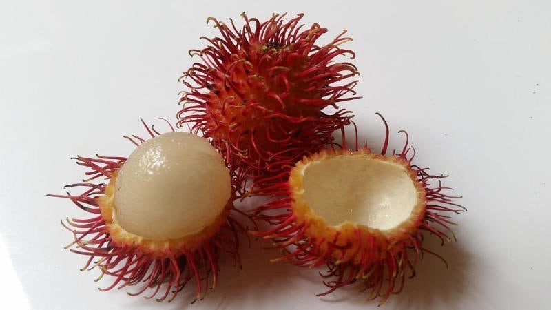 rambutan, tayland meyve, tatli, tropikal meyveler