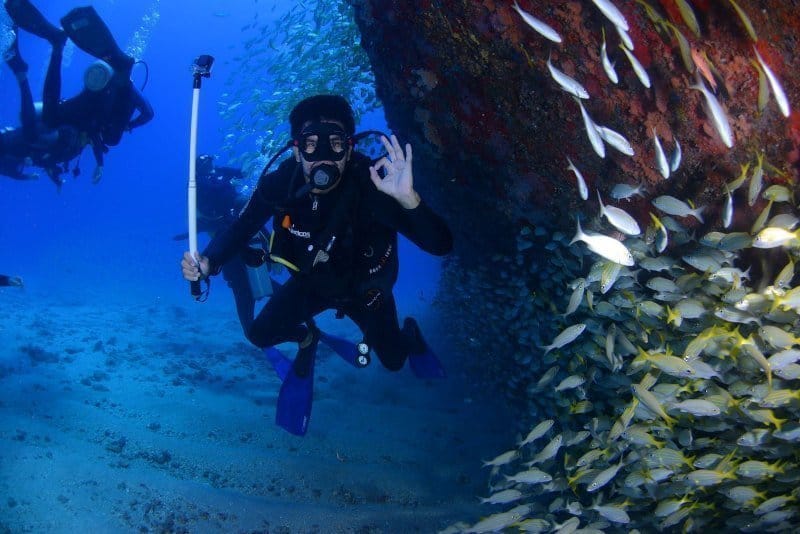 Tayland öğretmenlik, iş bulmak, çalışmak