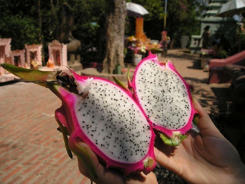 Dragon Fruit Ejder Meyvesi Tayland
