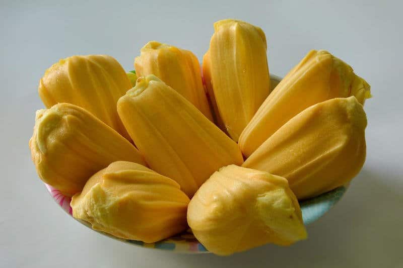 jackfruit, tayland meyve, tropikal meyveler