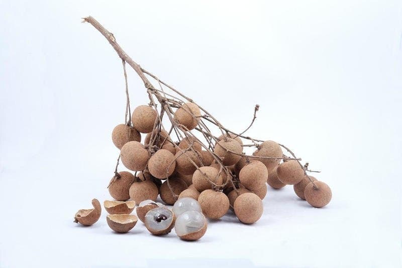 longan, tatli, tropikal meyveler