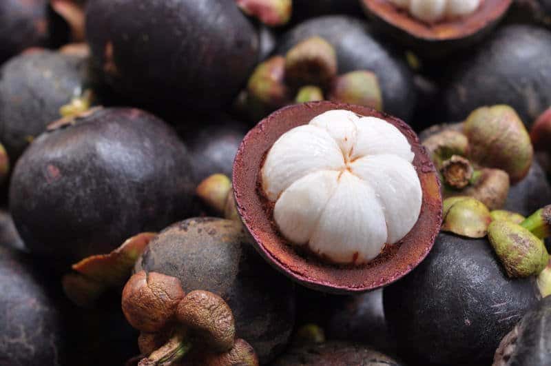 mangosteen, tayland meyve, meyvelerin kralicesi