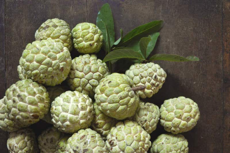 seker elmasi, custard apple, sugar apple, tayland, tropikal meyveler